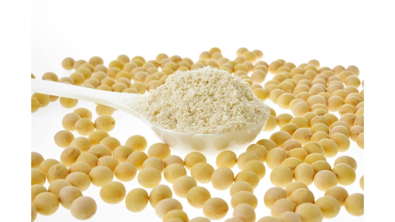 Organic Textured Soy Protein